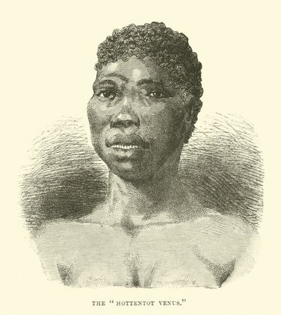 Hottentot Wenus autorstwa English School