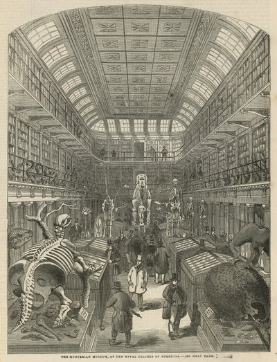 Hunterian Museum w Royal College of Surgeons autorstwa English School