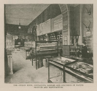 Instytut Cesarski: Sala Cejlońska autorstwa English School