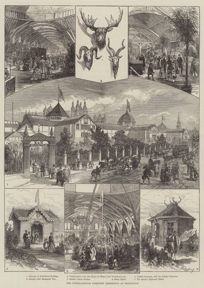 Międzynarodowa Wystawa Leśnictwa w Edynburgu (grafika) autorstwa English School