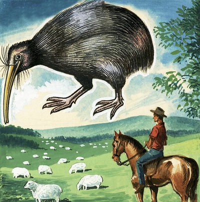 Kiwi, godło Nowej Zelandii autorstwa English School