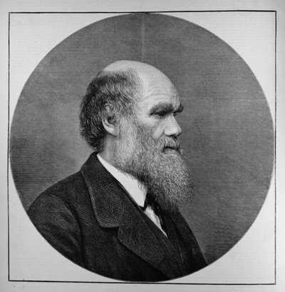 Późny pan C.R. Darwin, FRS, LLD, z The Illustrated London News, 29 kwietnia 1882 autorstwa English School