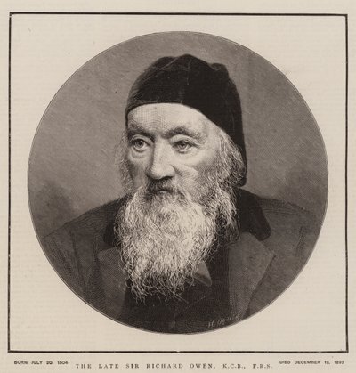 Późny Sir Richard Owen, KCB, FRS (Grawerowanie) autorstwa English School
