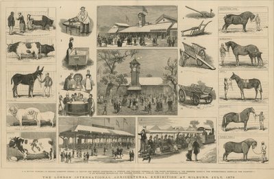 Londyńska Międzynarodowa Wystawa Rolnicza w Kilburn, lipiec 1879 r autorstwa English School