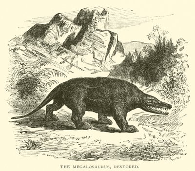 Megalozaur, odrestaurowany (grawerowanie) autorstwa English School