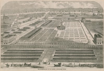 Metropolitan Cattle Market, Copenhagen Fields, Londyn autorstwa English School