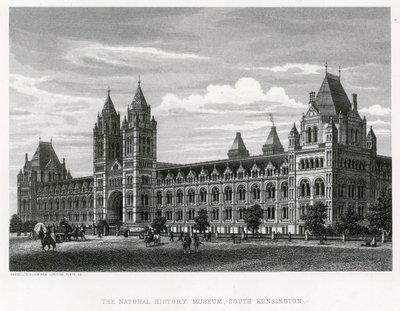 Muzeum Historii Naturalnej, 1881 r. autorstwa English School