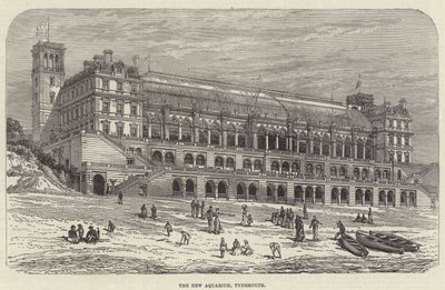 Nowe akwarium, Tynemouth (grawerowanie) autorstwa English School
