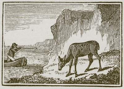 Jednooka łania (grawerunek) autorstwa English School