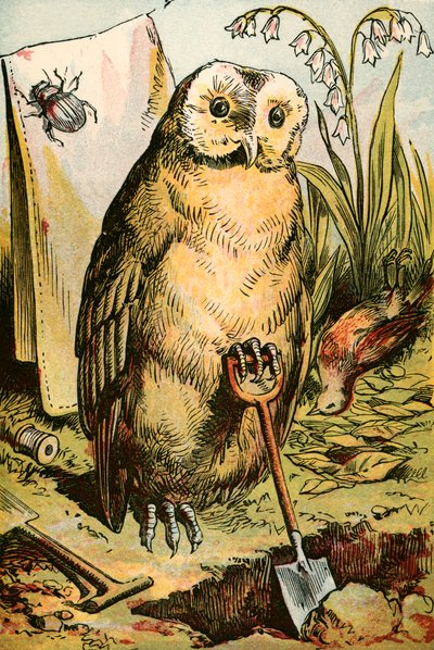 Sowa, Chrząszcz i Kogut Robin autorstwa English School