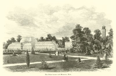 Palmiarnia i Muzeum, Kew autorstwa English School