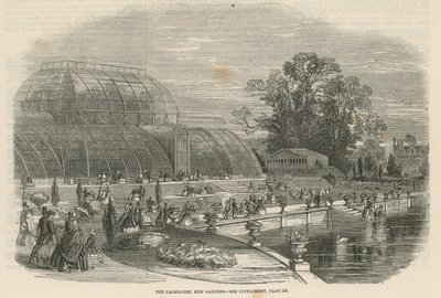 Palmiarnia, Kew Gardens, Londyn autorstwa English School