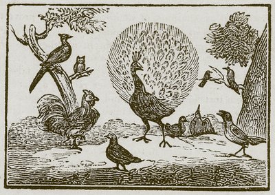 Paw i sroka (rycina) autorstwa English School