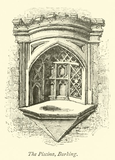 Piscina, szczekanie autorstwa English School