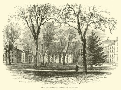 Czworokąt, Uniwersytet Harvarda autorstwa English School