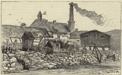 Królowa w Balmoral autorstwa English School