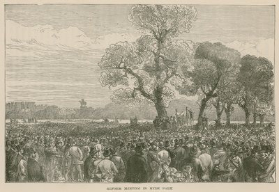 Demonstracja reform w Hyde Parku, 6 maja 1867 r. autorstwa English School