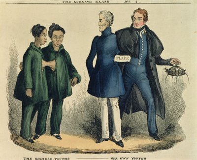 The Siamese Youths - Our Own Youths, satyryczny rysunek z The Looking Glass, ok. 1829 (kolorowa akwaforta) autorstwa English School