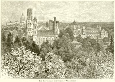 Smithsonian Institution w Waszyngtonie autorstwa English School