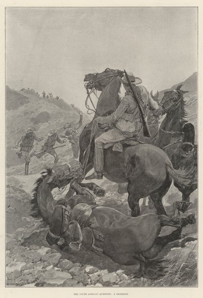 Kwestia południowoafrykańska, potyczka (lito) autorstwa English School