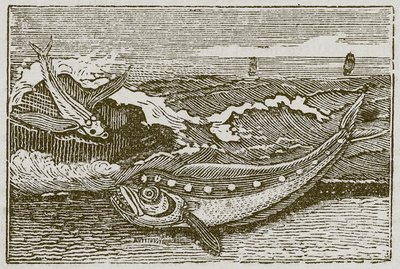 Thunny i delfin (grawerunek) autorstwa English School