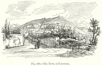 Miasto Palestrina (rycina) autorstwa English School