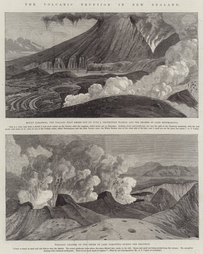 Erupcja wulkanu w Nowej Zelandii (rycina) autorstwa English School
