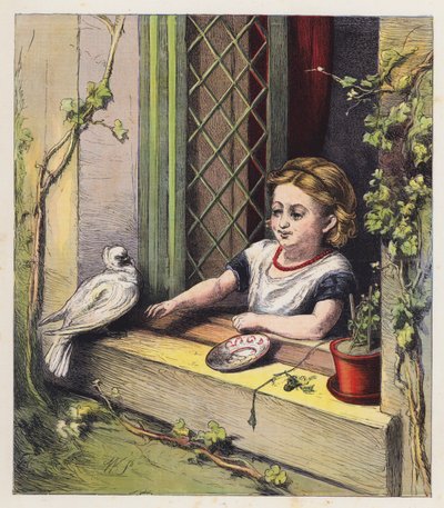 Biały gołąb (kolorowa litografia) autorstwa English School