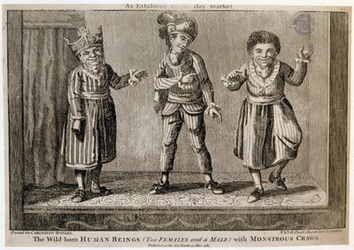 Dziko urodzone istoty ludzkie (dwie kobiety i mężczyzna) z potwornymi raczkami, jak wystawione na Haymarket, wydrukowane dla Carington Bowles, 1787 autorstwa English School