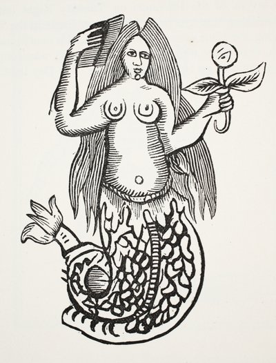 The Wonder of Wonders, ilustracja z książki Rozdział XVIII, autorstwa Johna Ashtona, wyd. 1882 autorstwa English School