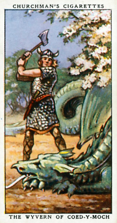 Wyvern z Coed-Y-Moch (kolorowa litografia) autorstwa English School