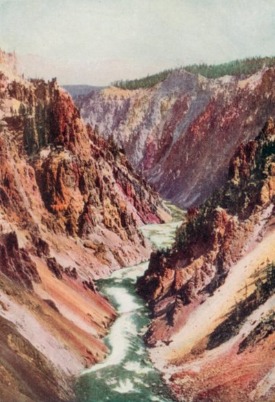 Rzeka Yellowstone (kolorowa litografia) autorstwa English School