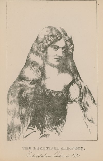 Piękna albina wystawiona w Londynie w 1810 r. autorstwa English School
