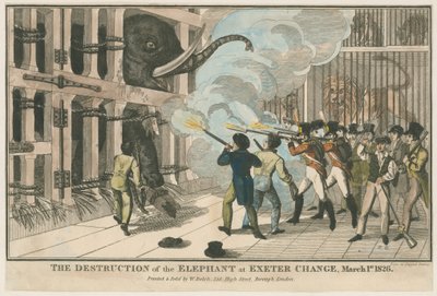 Zniszczenie słonia podczas zmiany w Exeter, 1 marca 1826 r autorstwa English School