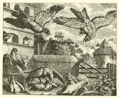 Latawiec i gołębie (rycina) autorstwa English School