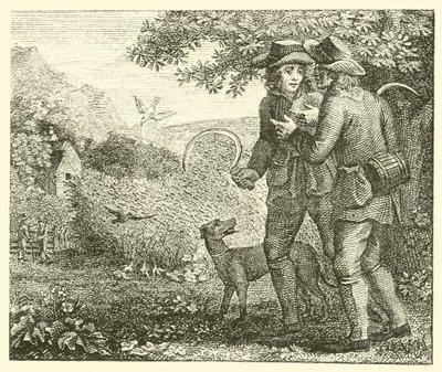 Skowronek i jego młode (grawerunek) autorstwa English School
