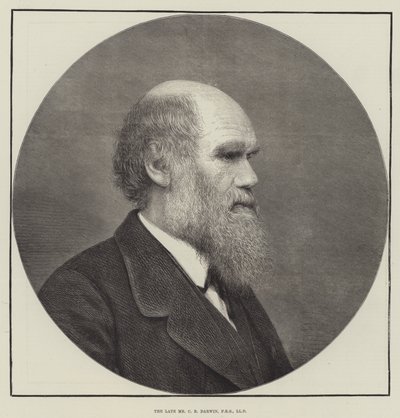 Nieżyjący pan C R Darwin, FRS, LLD autorstwa English School