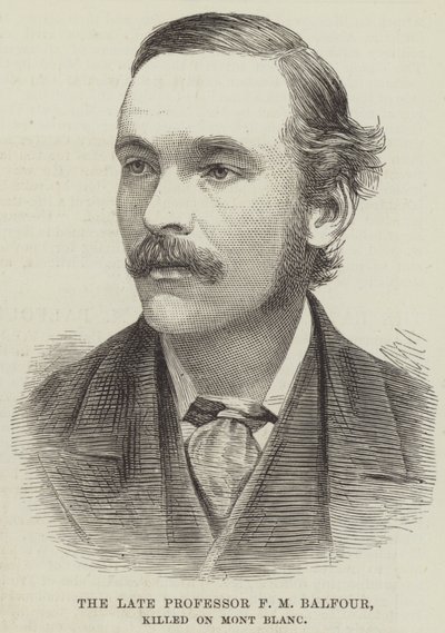 Nieżyjący już profesor F.M. Balfour, zabity na Mont Blanc (rycina) autorstwa English School