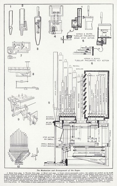 Mechanizm i układ organów (lito) autorstwa English School