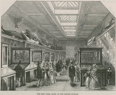 Nowa sala koralowa w British Museum autorstwa English School