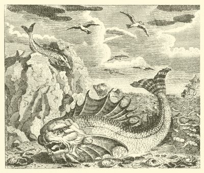 Tuńczyk i delfin (rycina) autorstwa English School
