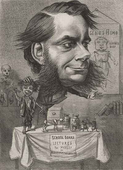 Thomas Henry Huxley, angielski biolog autorstwa English School