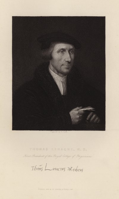 Thomas Linacre autorstwa English School