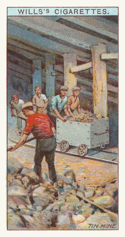 Kopalnia cyny (chromolit) autorstwa English School