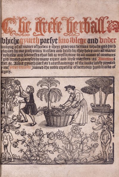Strona tytułowa ilustrująca scenę ogrodową z figurami, 1529 autorstwa English School