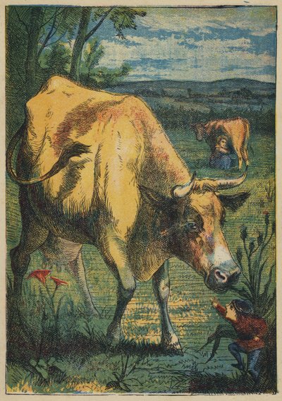 Tom Thumb and the Cow (kolor lito) autorstwa English School