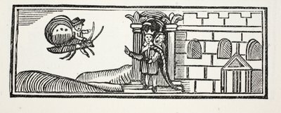 Tom ukrył się i próbował uciec na grzbiecie motyla, ilustracja z książki Chap-books of the Eighteenth Century autorstwa Johna Ashtona, pub. 1882 autorstwa English School