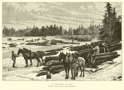 Transport drewna autorstwa English School