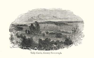 Zamek Tully, hrabstwo Fermanagh (rycina) autorstwa English School