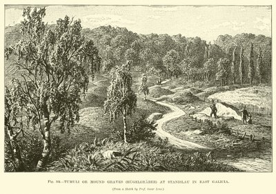 Tumuli lub groby kopcowe (Hugelgraber) w Stanisławie we Wschodniej Galicji autorstwa English School